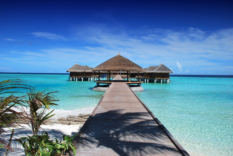 swimming hair care tips blog banner