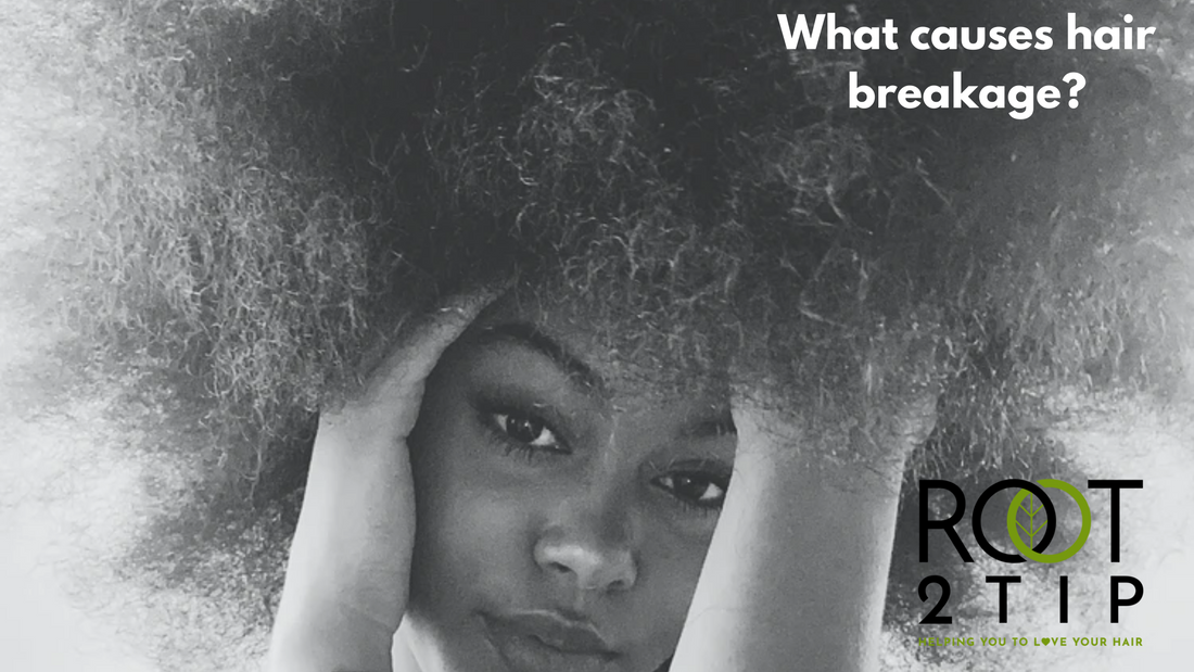 Reason of Hair Breakage and How To Treat It: Top 9