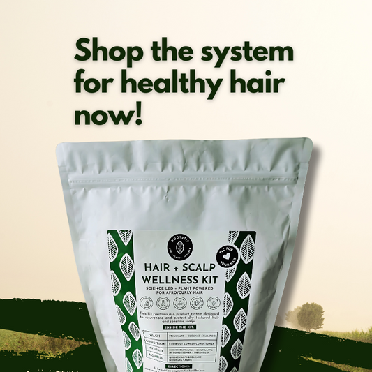 Root2Tip Hair + Scalp Wellness Kit — 5-Step Starter System for Afro & Curly Hair